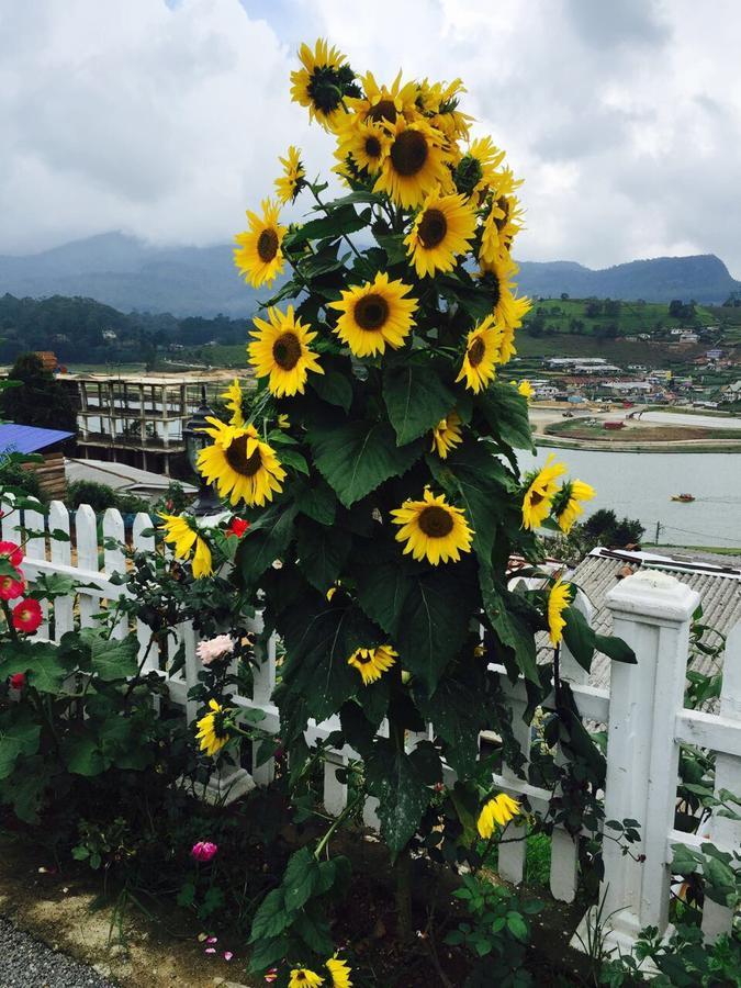Lake View Comfort Bungalow Nuwara Eliya Exterior foto